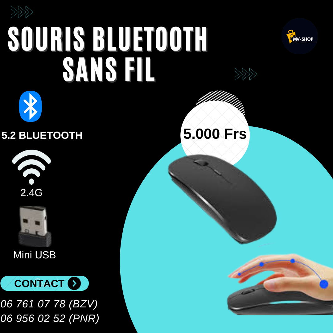 Souris sans fil