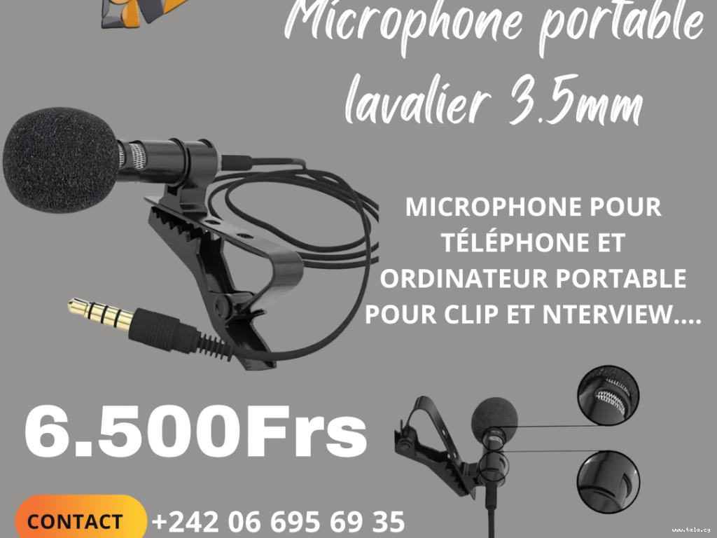 Microphone